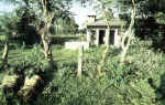 An IPKF patrol approaches a suspected militant hideout using classic cordon and search techniques. - http://www.bharat-rakshak.com/LAND-FORCES/Army/Images-1987.html